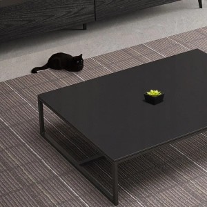 Rechteckiger, schwarzer Couchtisch im Industrial Loft Stil mit Dekoration und Katze.