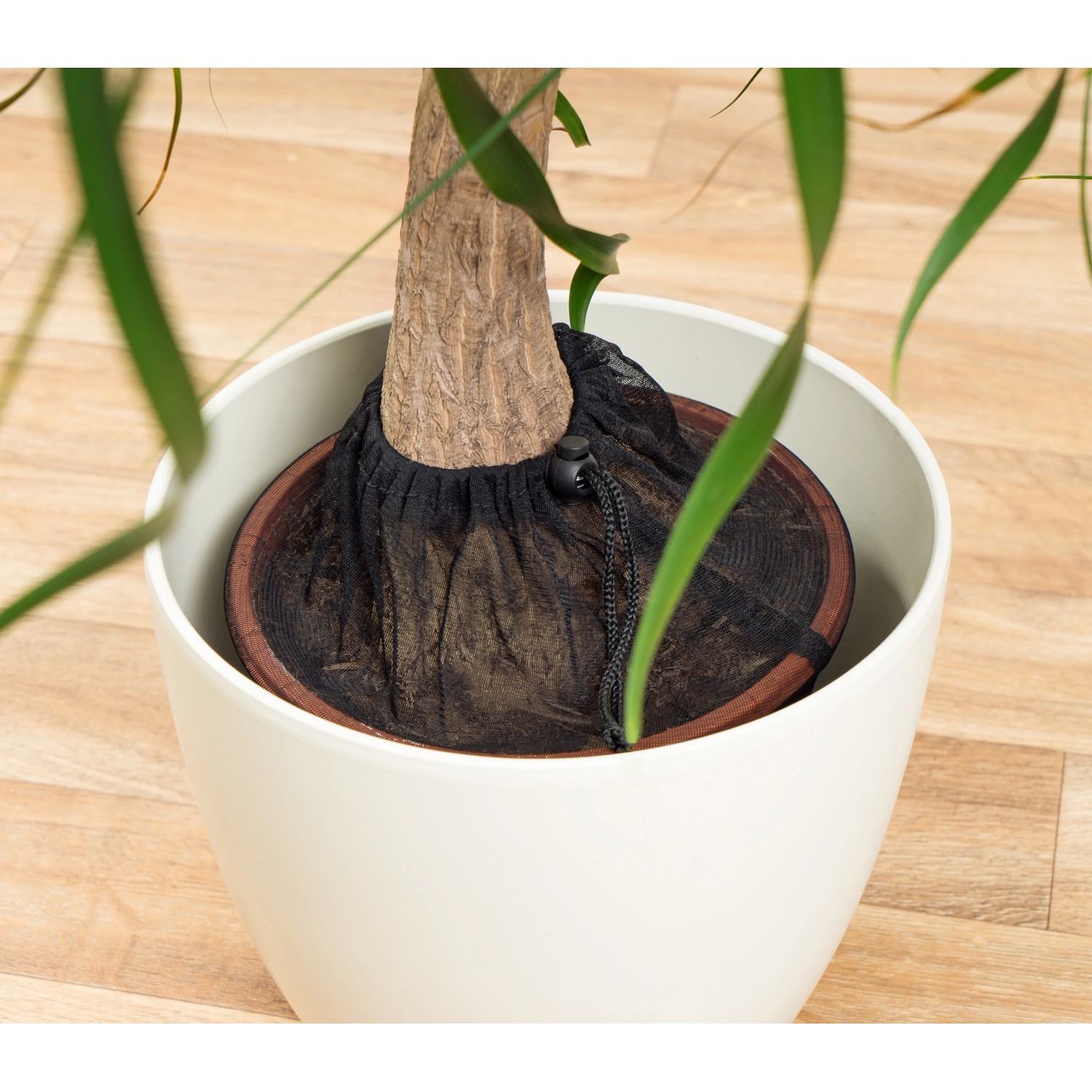 Reer Pflanzenschutz-Netz, schwarz, Ø 30 cm auf einem Blumentopf in einem weißen Übertopf.