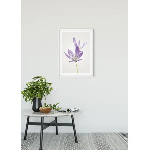 Komar Wandbild Autumn Crocus, 50x70 cm, lila Krokusblüten im weißen Rahmen.