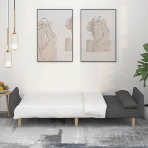vidaXL Schlafsofa 2-Sitzer mit 2 Kissen Dunkelgrau Stoff 375870