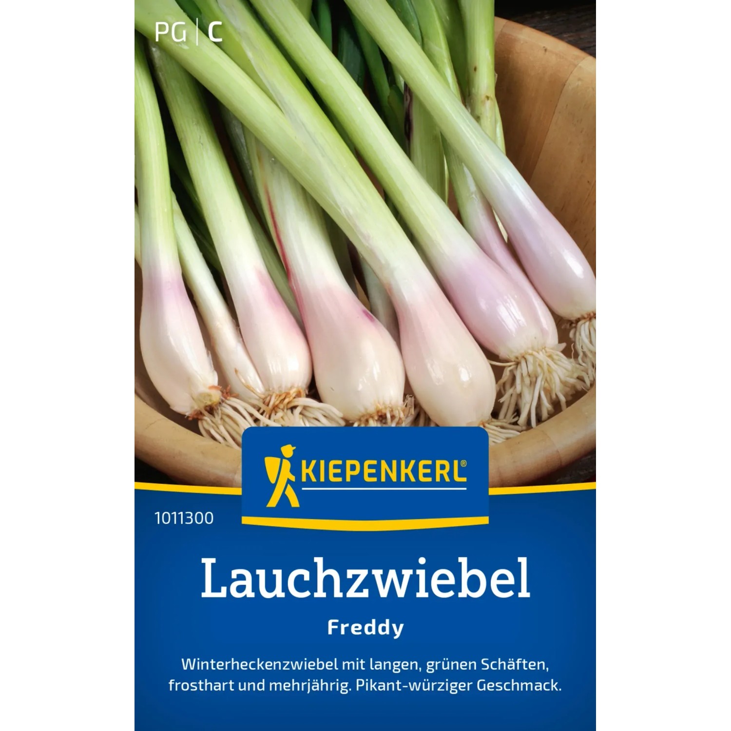 Kiepenkerl Zwiebeln "Freddy (Winterhecke)"