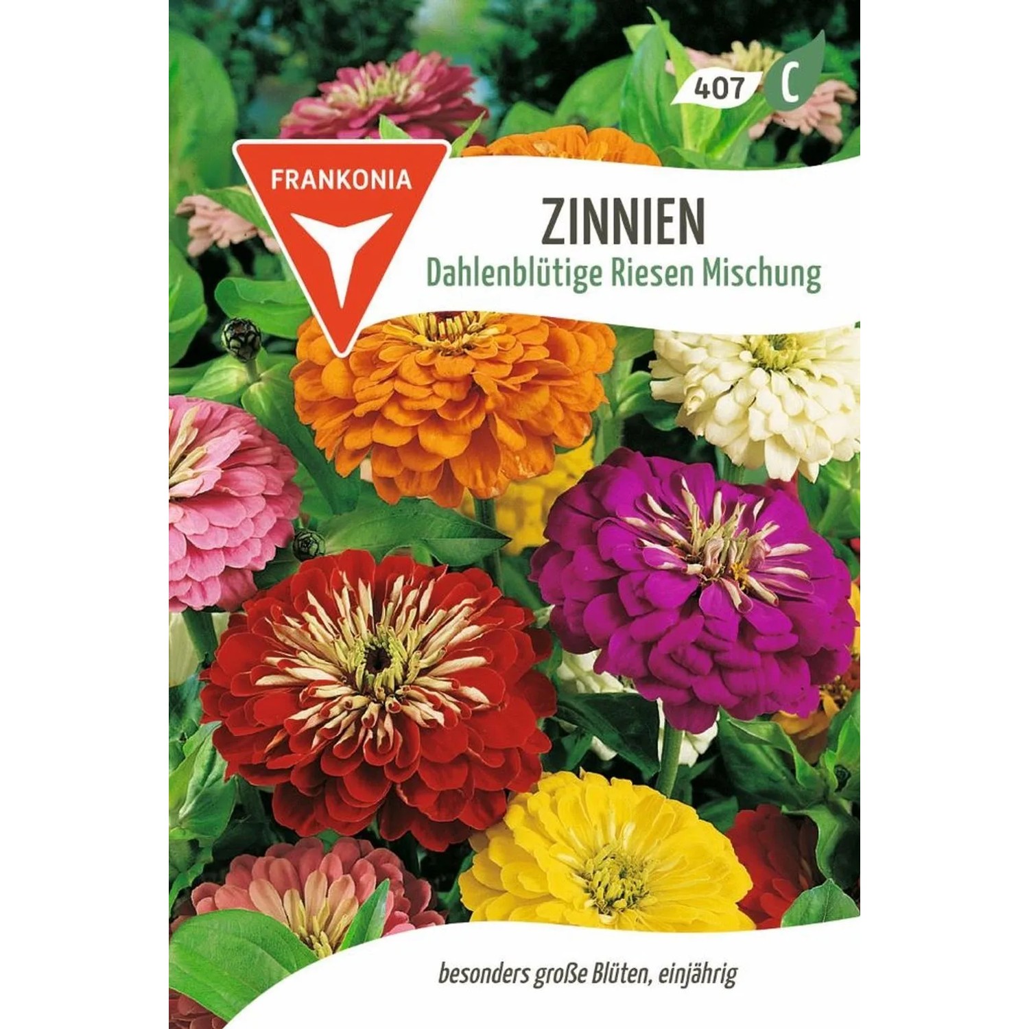 FRANKONIA Zinnie Dahlienblütige Riesen Mischung günstig online kaufen