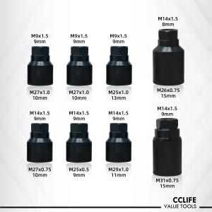 CCLIFE Druckluft Abzieher Werkzeug Set, 21-teilig, für Einspritzdüsen und Diesel Injektoren.