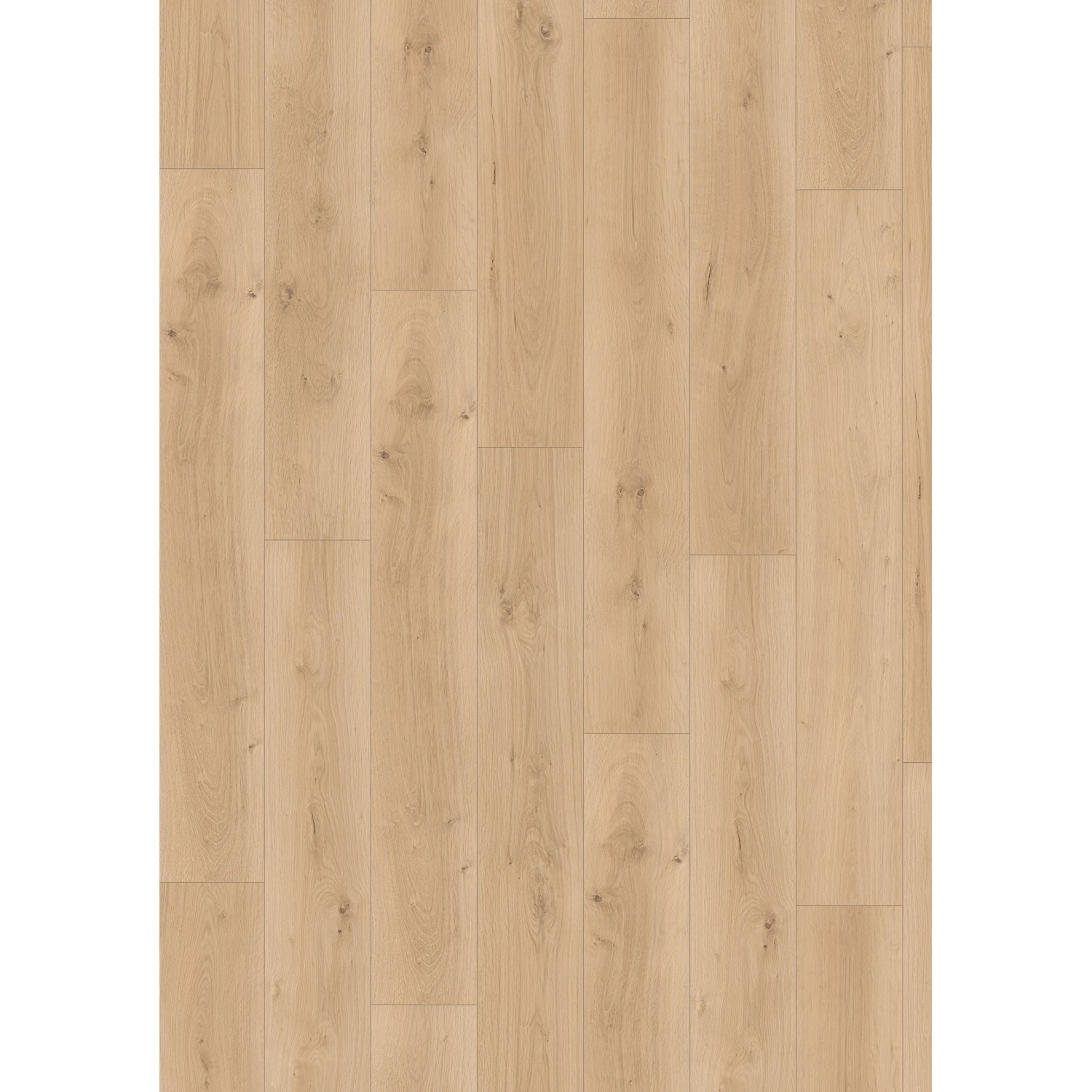 Egger Laminat EL2113 NatureSense Pinot Eiche Sand, helle Holzoptik, Landhausdielen-Format.