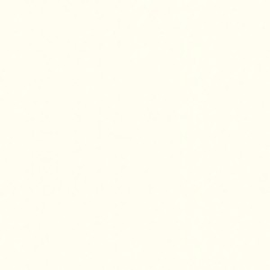 Uni Vliestapete in Matt Weiß mit leichter Struktur.