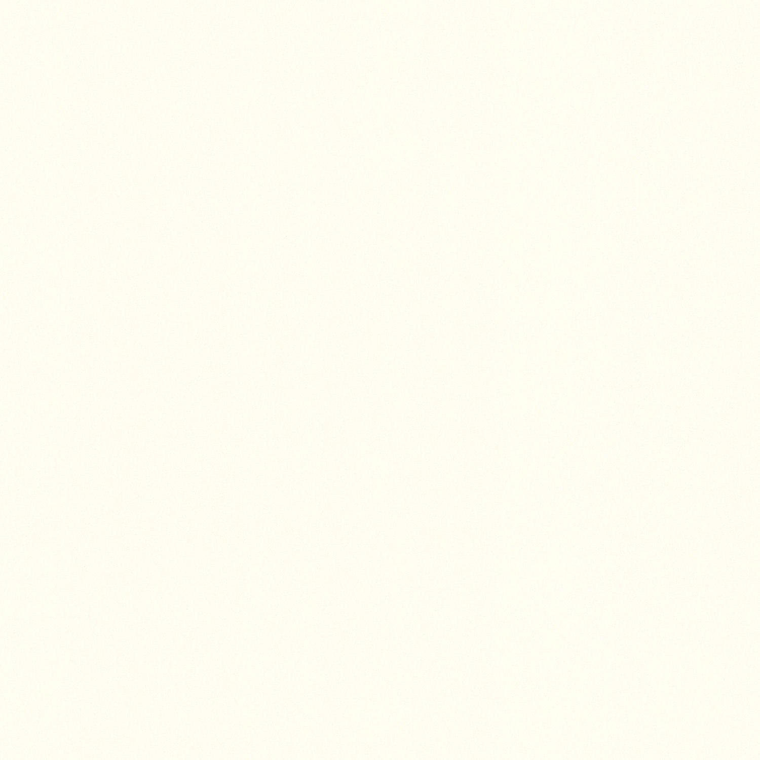 Uni Vliestapete in Matt Weiß mit leichter Struktur.