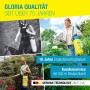 Gloria Drucksprüher Prima 5 im Einsatz: Frau sprüht Pflanzen mit der gelben Gartenspritze.
