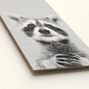 Pro Art Dekopanel: Schwarz-weiß Porträt eines jungen Waschbären, Bilder für Kinderzimmer.
