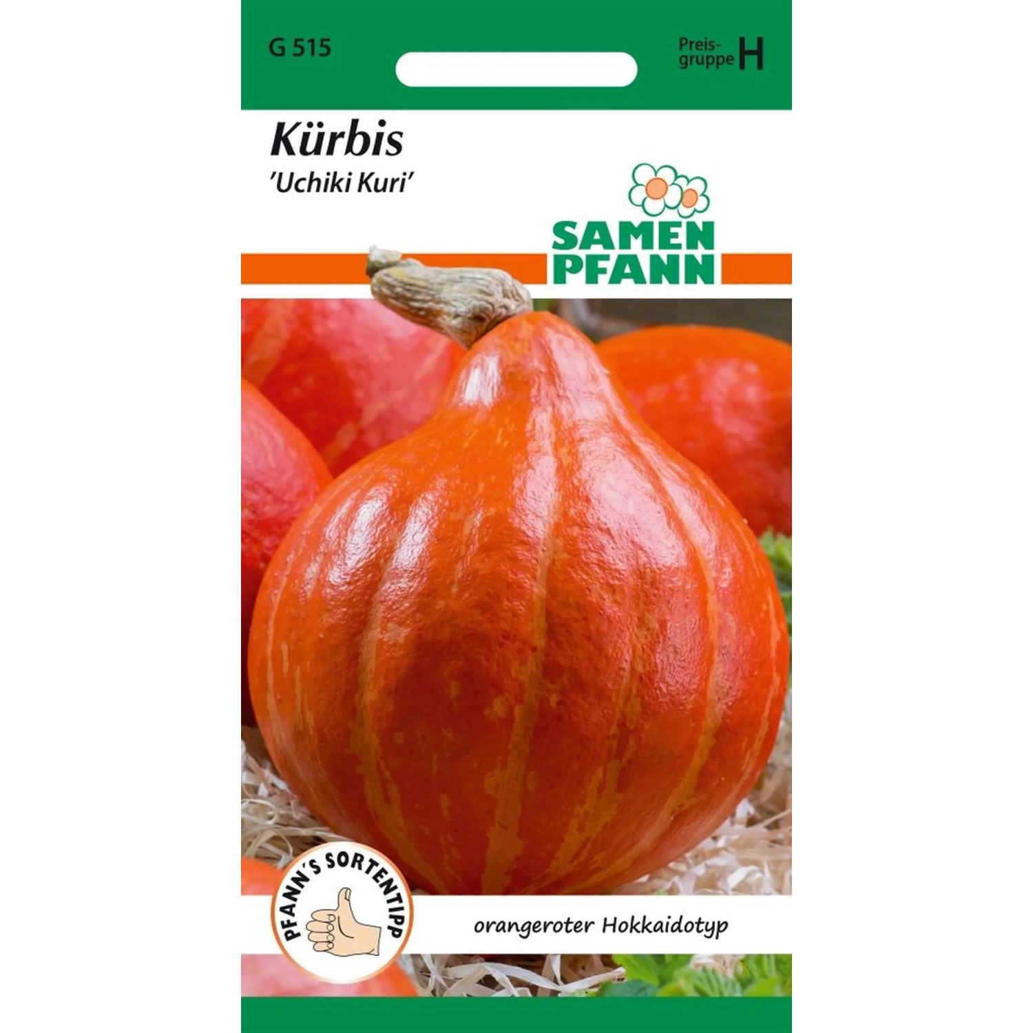 SAMEN PFANN Kürbis Uchiki Kuri Hokkaido-Kürbis