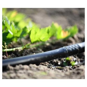 Cellfast Y-Stück Verbinder 16mm Tropfschlauch im Einsatz, bewässert Pflanzen.