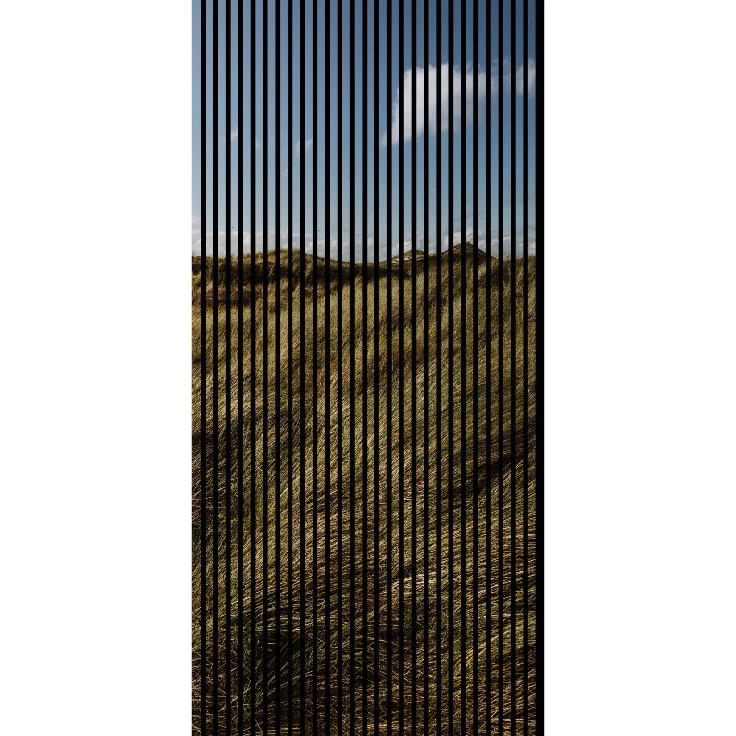FN Acustico Akustikplatte Gras 1 PET u. MDF Foliert 1.133 x 19 x 2.400 mm