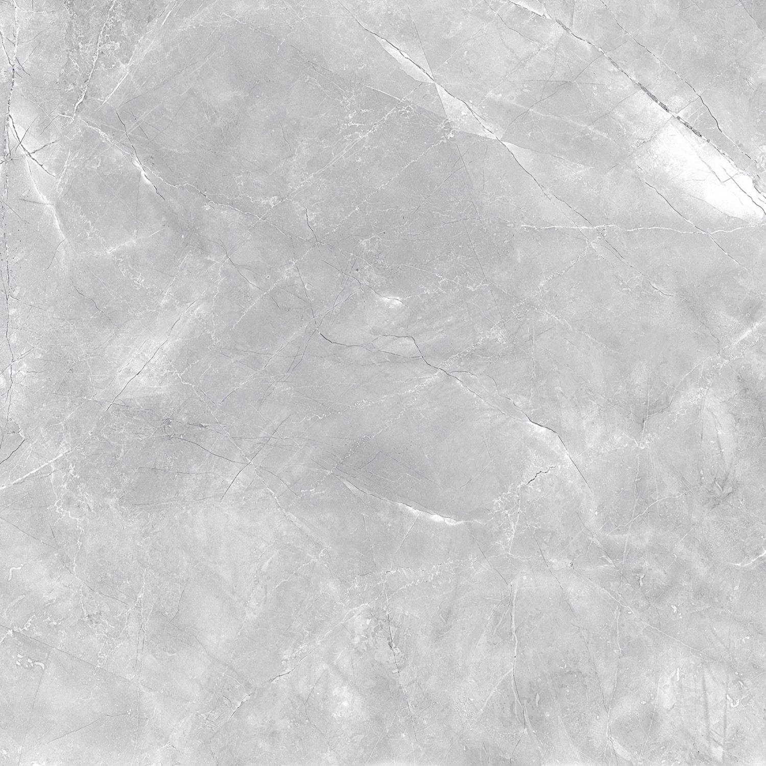 Bodenfliese Messina Feinsteinzeug Grau Glasiert Poliert 60 cm x 60 cm