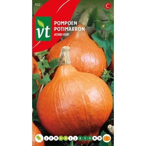 Kürbis 'Uchiki Kuri' Samen Ca. 3 g Orangefarbene Früchte