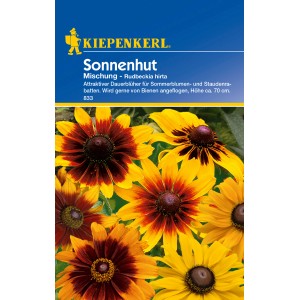 Kiepenkerl Sonnenhut Mischung, mehrfarbige Rudbeckia Hirta Blumensamen für sonnige Standorte.