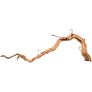 Aquariendekoration Curl-Holz S, ca. 30-59 cm, verzweigt und gedreht, für Aquarien und Terrarien.