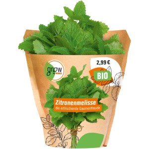 Bio Zitronenmelisse (Melissa officinalis) im Topf von Grow by OBI. Küchenkräuter für Tee.