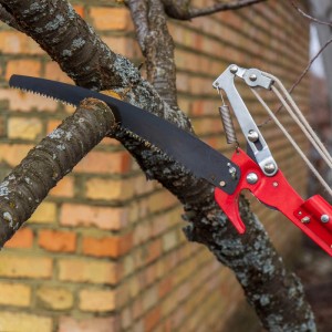 XPOtool Teleskop 2in1 Astsäge Astschere mit Seilzug schneidet einen Ast. Rotes Gartengerät für Baumpflege.