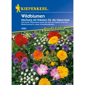 Bunte Wildblumen-Mischung mit Kräutern für naturnahe Gärten und Bienenweiden.