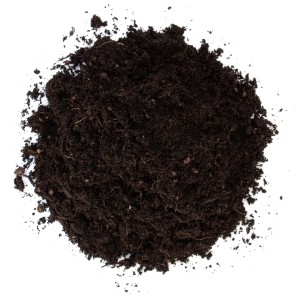 Nahaufnahme von Floragard Bio-Kräutererde, torffreie Erde für aromatische Kräuter.