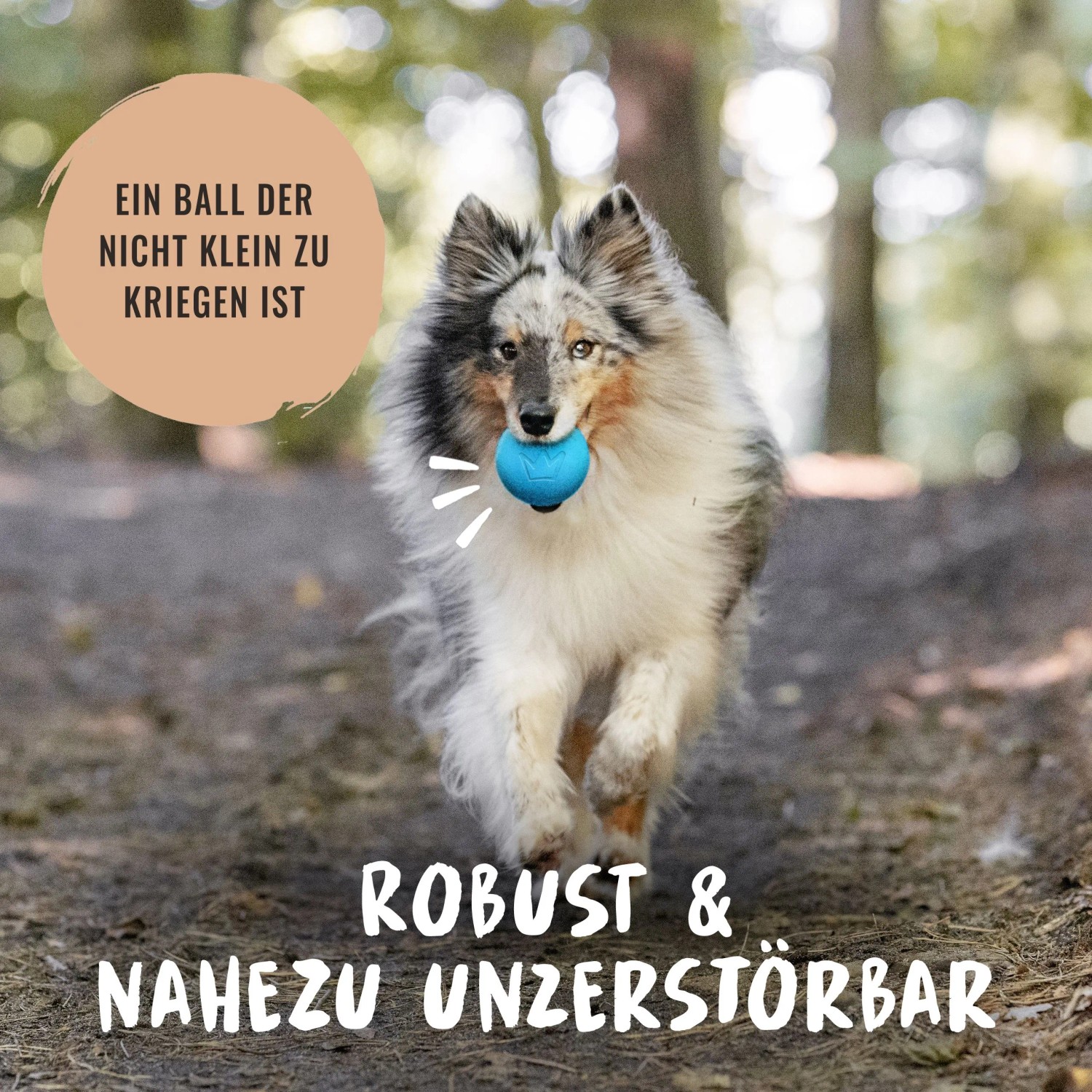Hund mit blauem Rudelkönig Hundeball (6,5 cm) aus Naturkautschuk beim Apportieren.