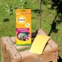 Solabiol Gelbtafeln, 7 Stück zur biologischen Schädlingsbekämpfung im Garten.