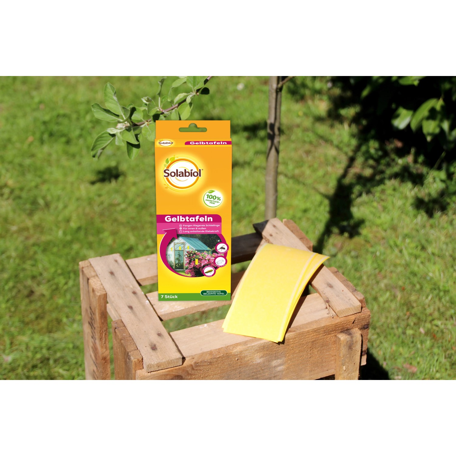 Solabiol Gelbtafeln, 7 Stück zur biologischen Schädlingsbekämpfung im Garten.