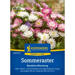 Kiepenkerl Sommeraster Bambina Mischung mit rosa, weißen und violetten Blüten.