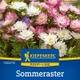 Kiepenkerl Sommeraster Bambina Mischung mit rosa, weißen und violetten Blüten.