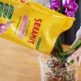 Seramis Spezial-Substrat für Orchideen wird in ein Pflanzgefäß gefüllt.