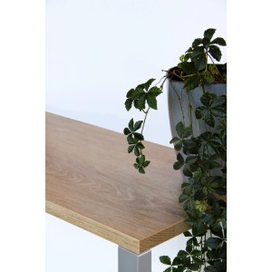 Tischplatte Robinson in Eichenoptik, 180x80 cm, mit Hirnholzkante und Pflanze.