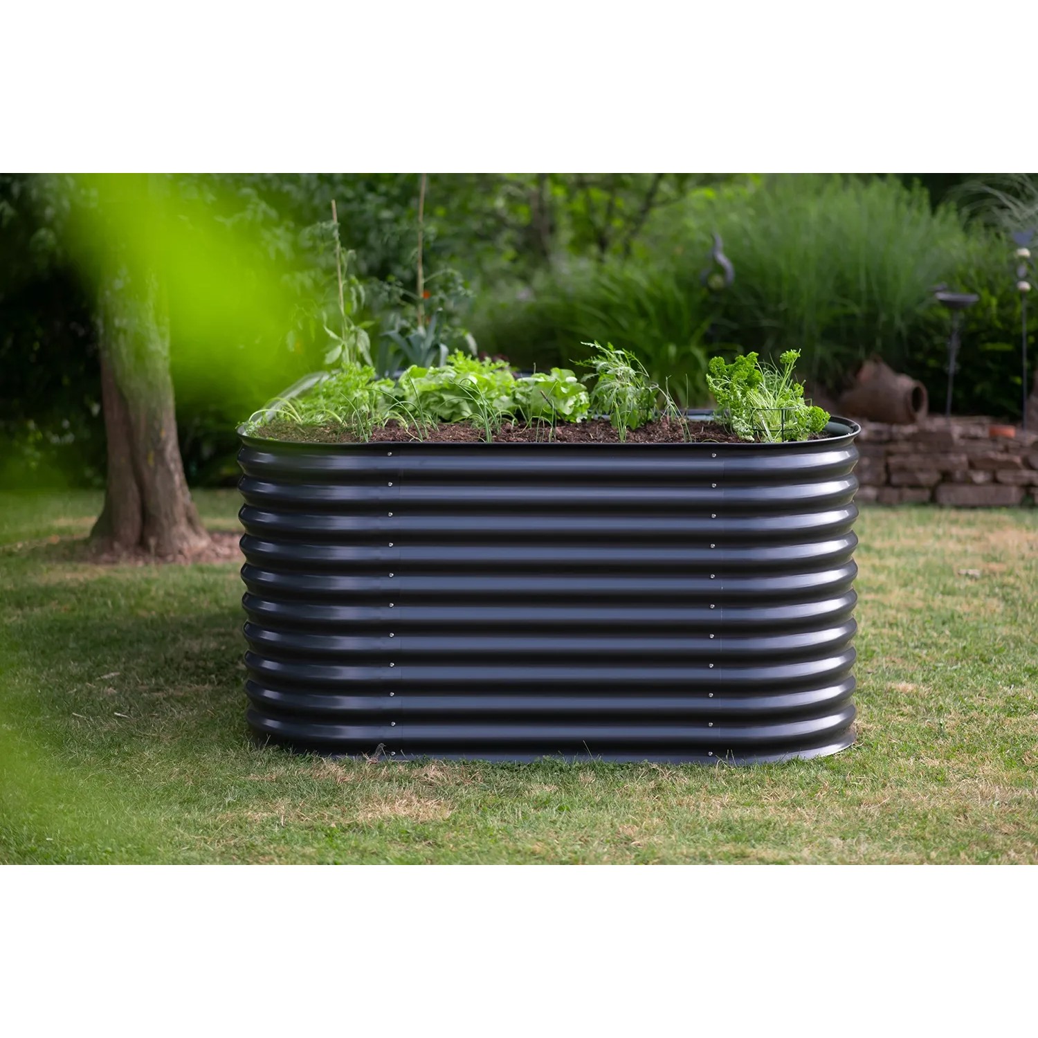 Anthrazitfarbenes Westmann Metall Hochbeet Grow Faster im Garten, bepflanzt mit Gemüse.