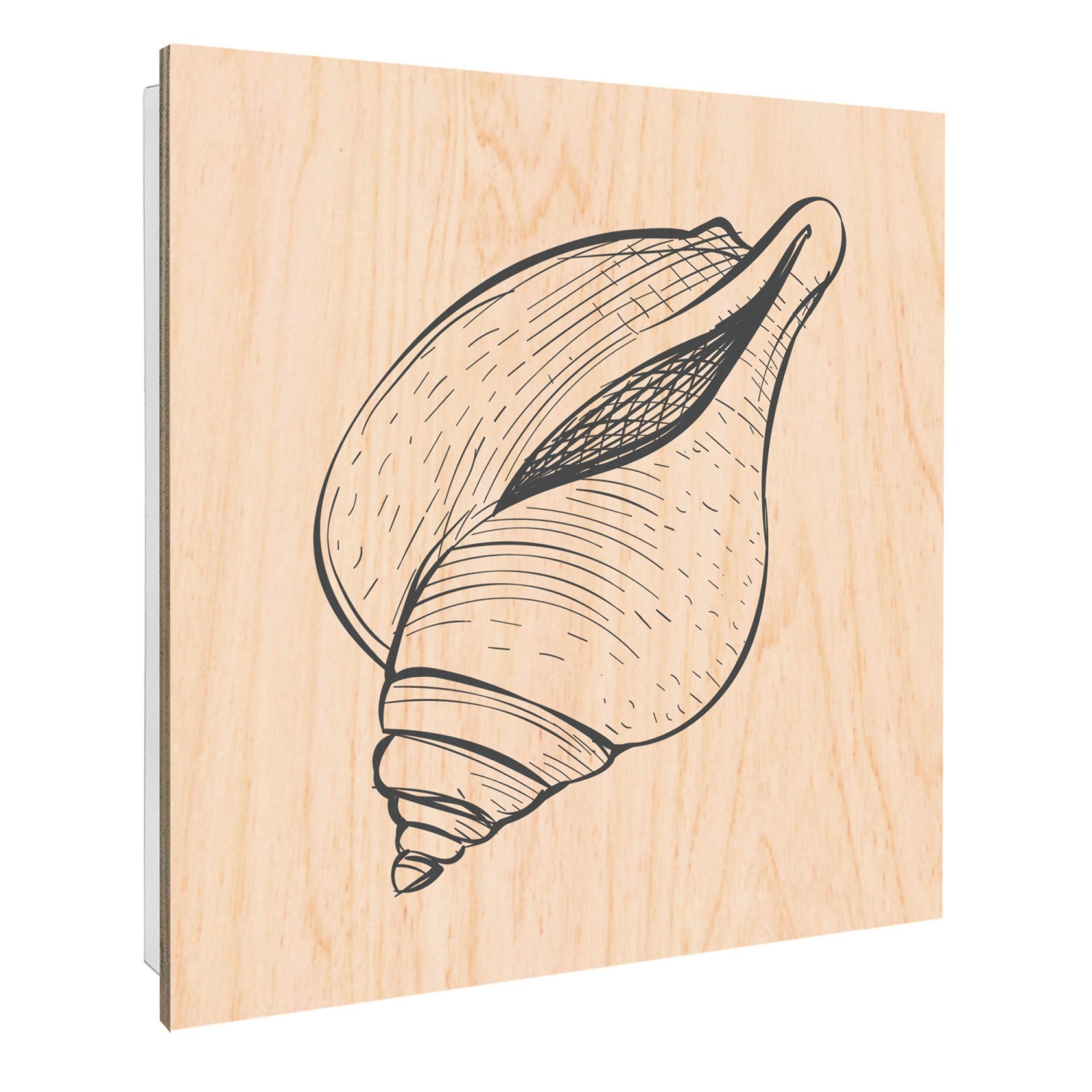 Banjado Schlüsselkasten mit Holzfront 30x30cm Weiß Scharnier Links 50 Haken günstig online kaufen