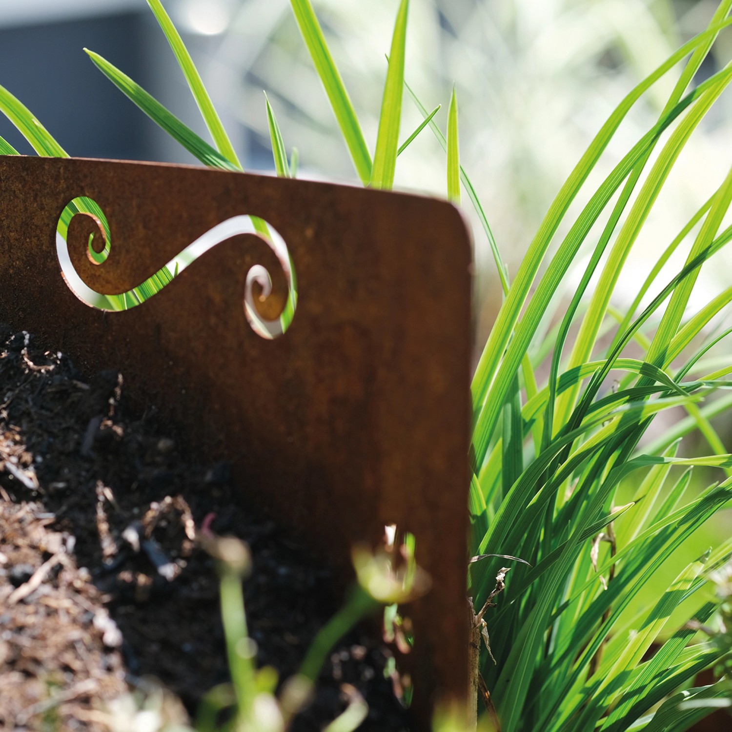 Detailaufnahme der Bellissa Kräuterspirale aus Cortenstahl mit Rostpatina und Kräutern.