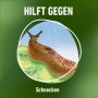 Illustration einer Nacktschnecke auf einem Blatt. Schneckenkorn zur Bekämpfung von Schnecken.