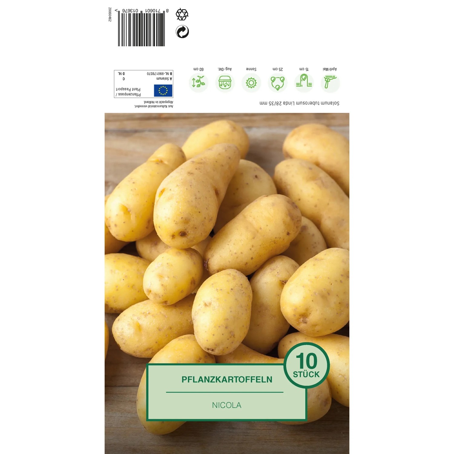 Pflanzkartoffeln Nicola, 10 Stück, vorgetrieben, für den Anbau im Garten.
