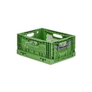 Grüne PROREGAL Klappbox Chameleon, 17 Liter, stapelbar und klappbar. Ideal für Lagerung und Transport.