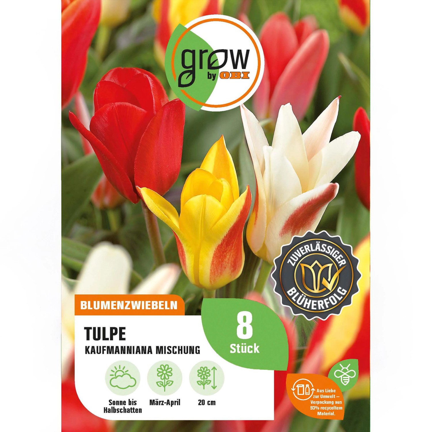 GROW by OBI Tulpen Peacock Mischung 8 Stück Tulipa peacock Mixed günstig online kaufen