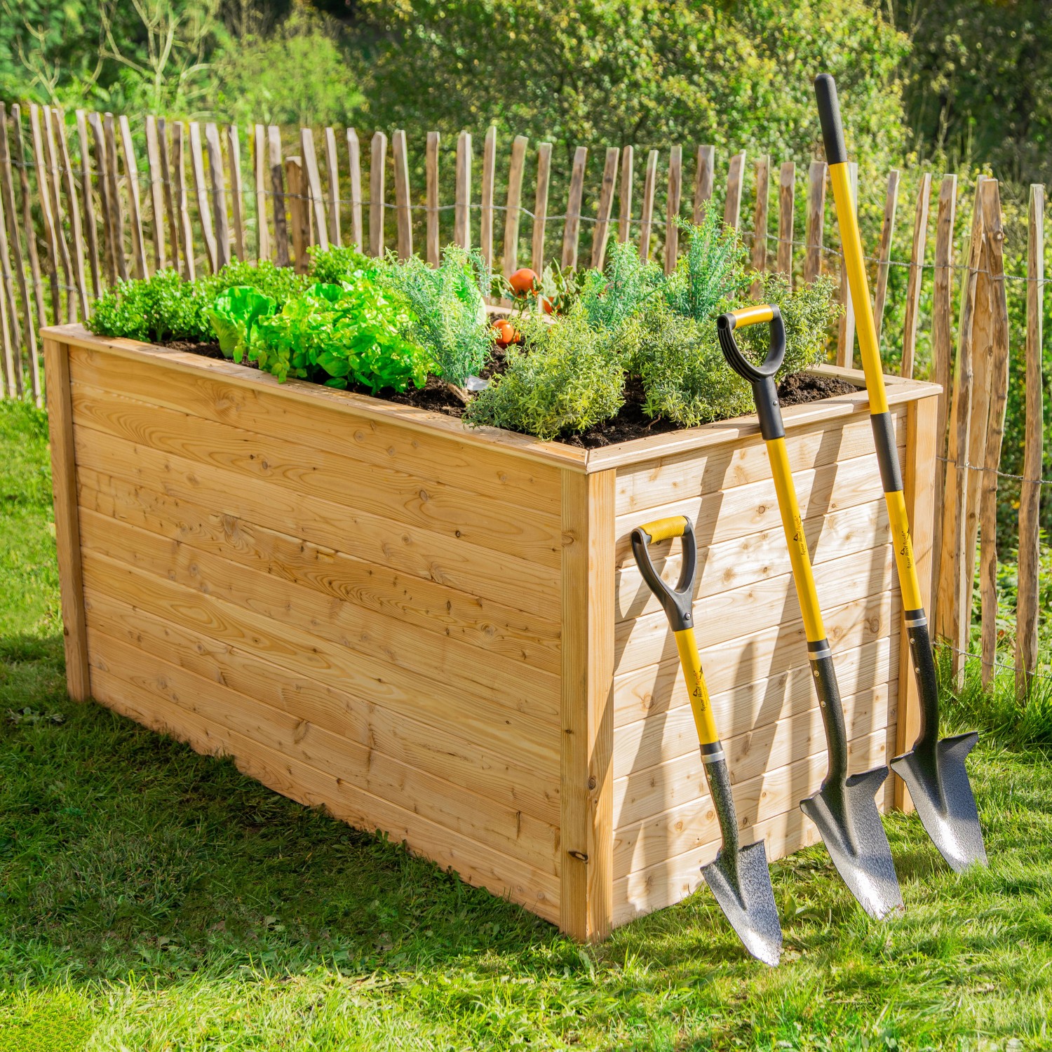 Westmann Hochbeet aus Lärche, 170x90x84 cm, bepflanzt mit Gemüse und Kräutern, mit Gartenspaten.