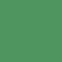 Grüne, matte Schöner Wohnen Mineral Vollton- & Abtönfarbe.