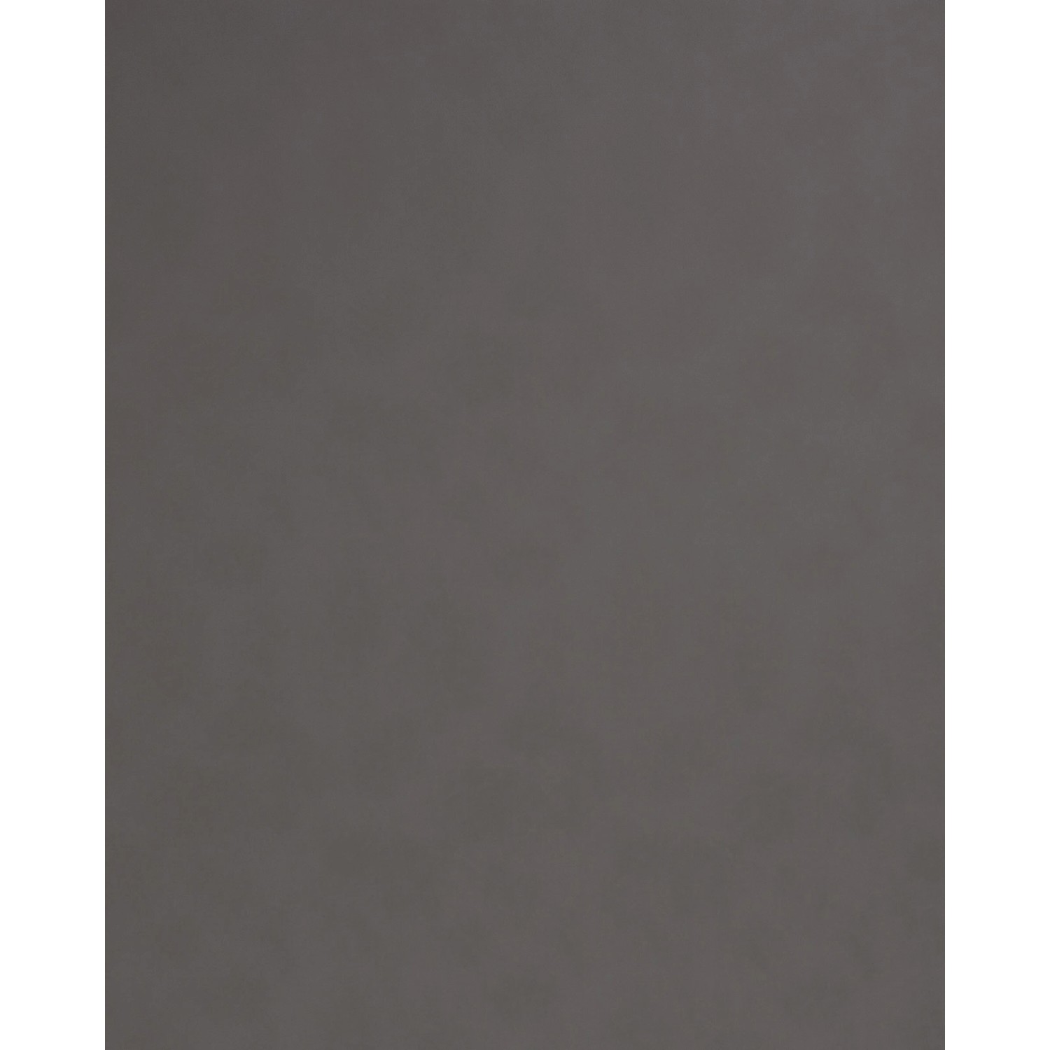 WALLFACE 19301 CHARCOAL LIGHT Wandpaneel in Leder Optik Matt Grau 2600 mm x günstig online kaufen