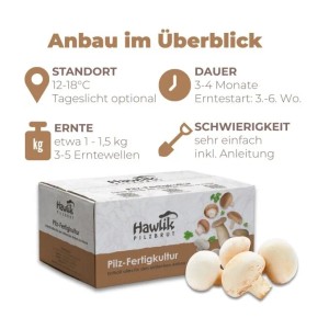Hawlik Pilzbrut Kleines Champignon Pilzzuchtset Komplettset mit Myzel für Weiße Champignons und Anbauanleitung für Anfänger