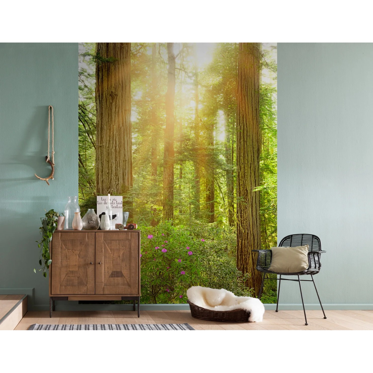 Komar Fototapete Vlies Redwood (200x250 cm) mit Waldmotiv und Sonnenlicht.