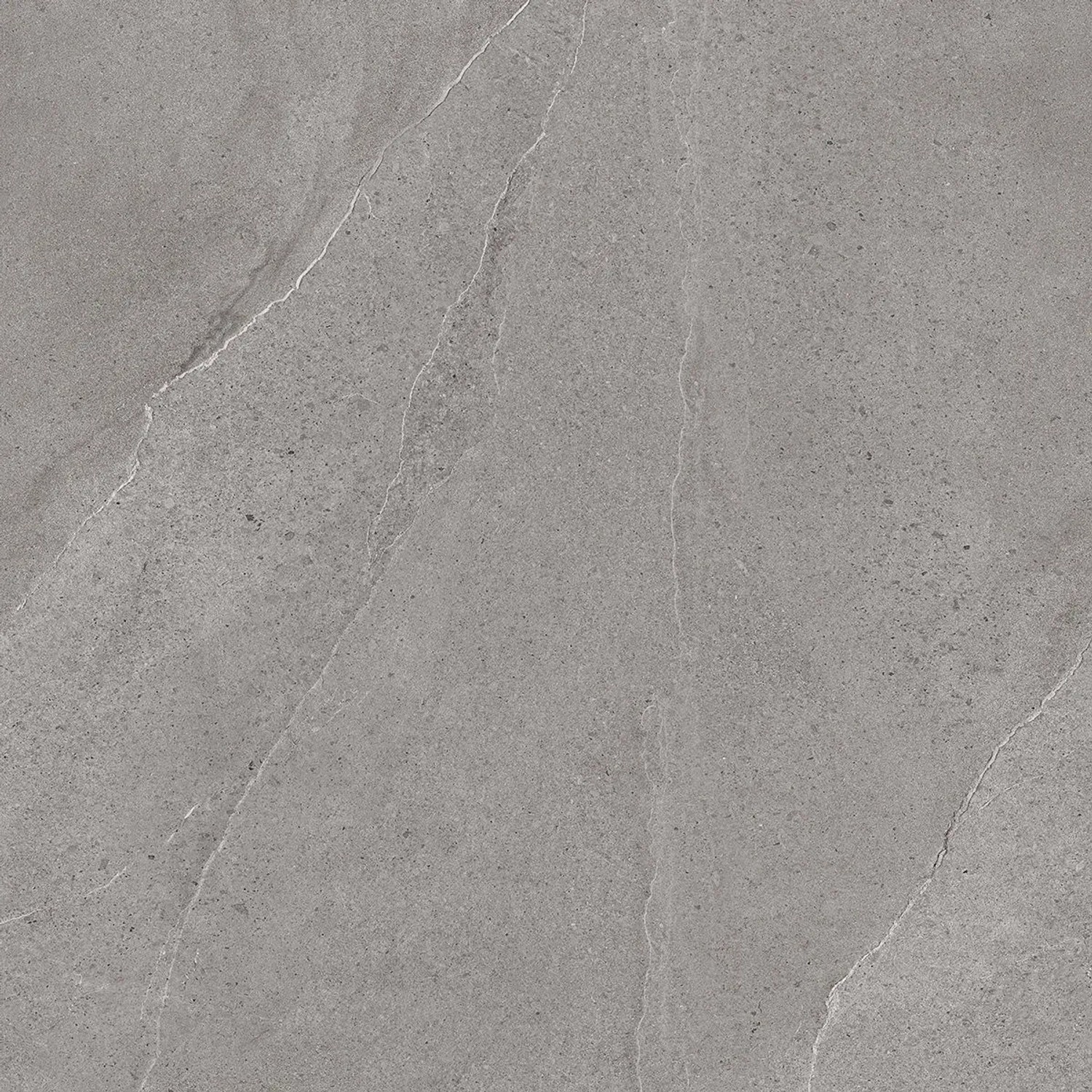 Class Tile Bodenfliese Burlington Feinsteinzeug Grey 80 cm x 80 cm günstig online kaufen