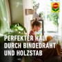 Compo BIO Gelbsticker gegen Schadinsekten, 10er Pack für Zimmer, Balkon und Wintergarten.