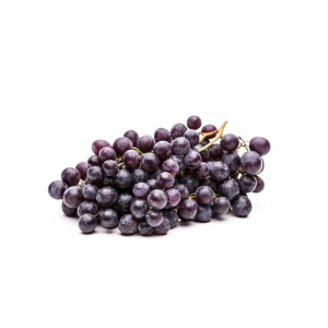 Blaue, kernlose Weintrauben der Vitis Vinifera, frisch geerntet.