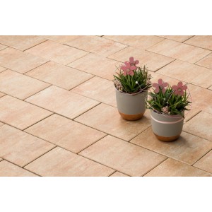 Diephaus Mika Pflastersteine in Sandsteinoptik, 30x20x6 cm, hellbraun, auf Terrasse mit Pflanzen. Ideal für Gartenwege.