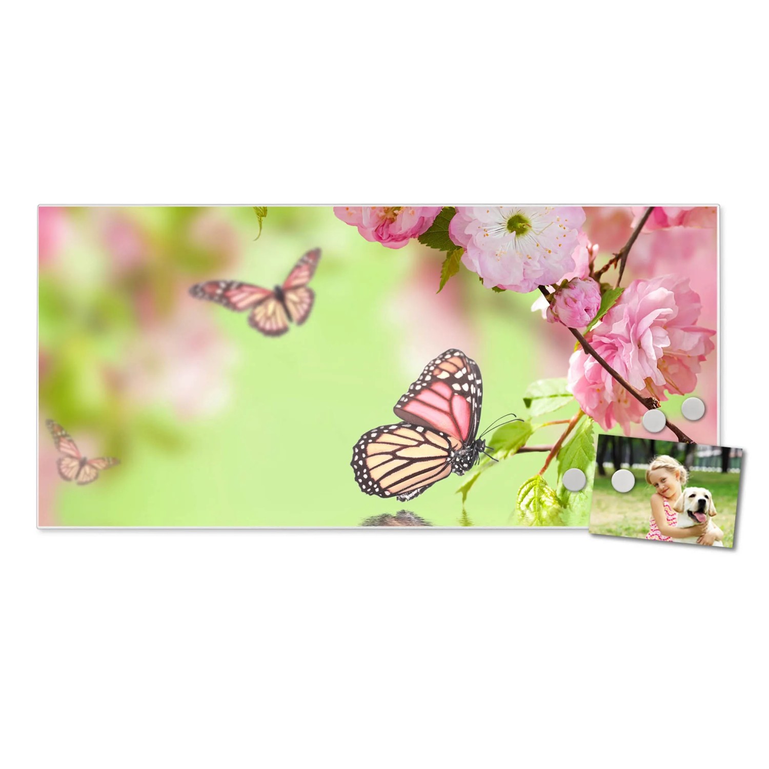 Weiße Magnettafel mit Kirschblüten und Schmetterlingen, inklusive Magneten und Foto als Wanddekoration.