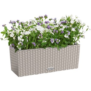 Lechuza Balconera Cottage 50 in Sandbraun, bepflanzter Blumenkasten mit Bewässerungssystem.