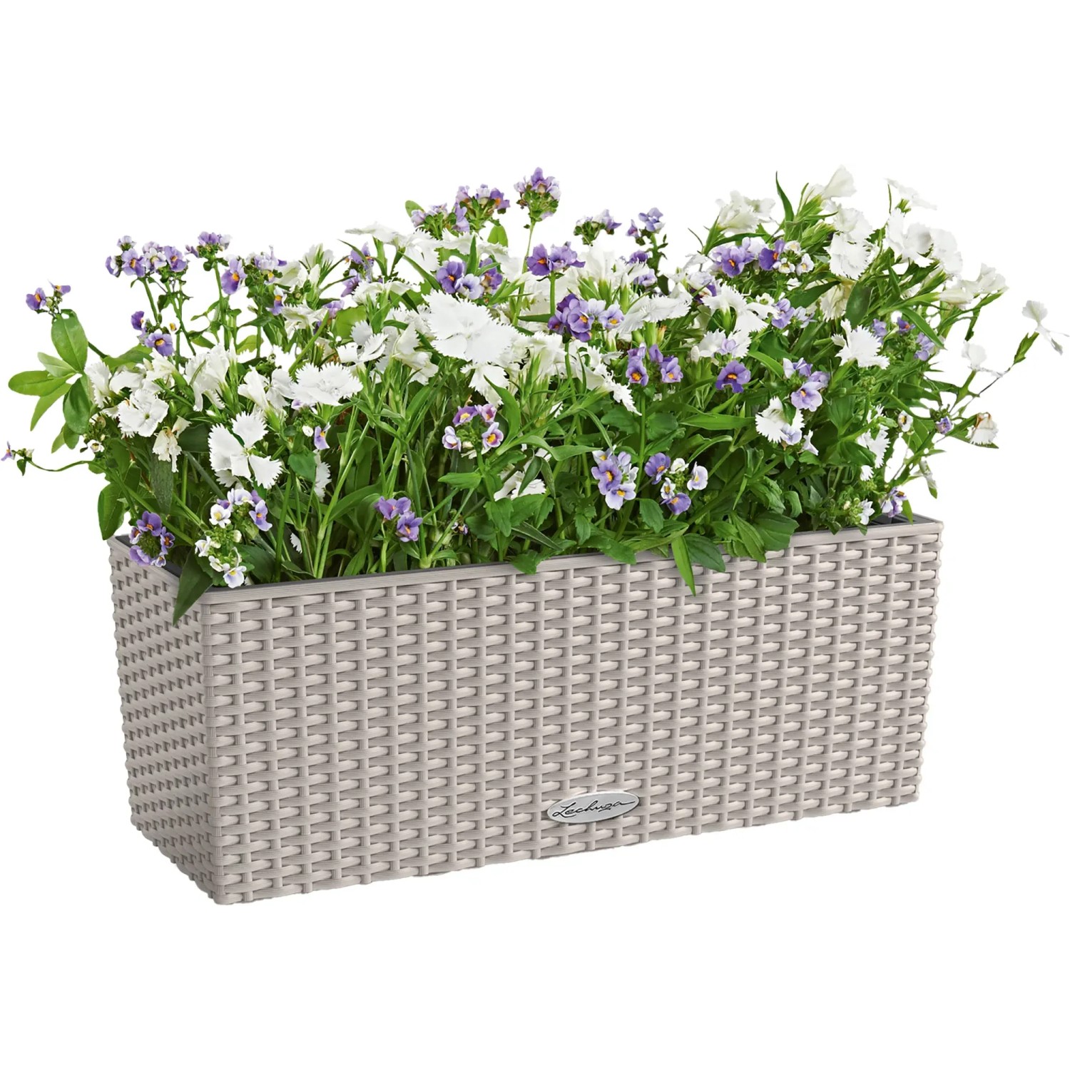 Lechuza Balconera Cottage 50 in Sandbraun, bepflanzter Blumenkasten mit Bewässerungssystem.
