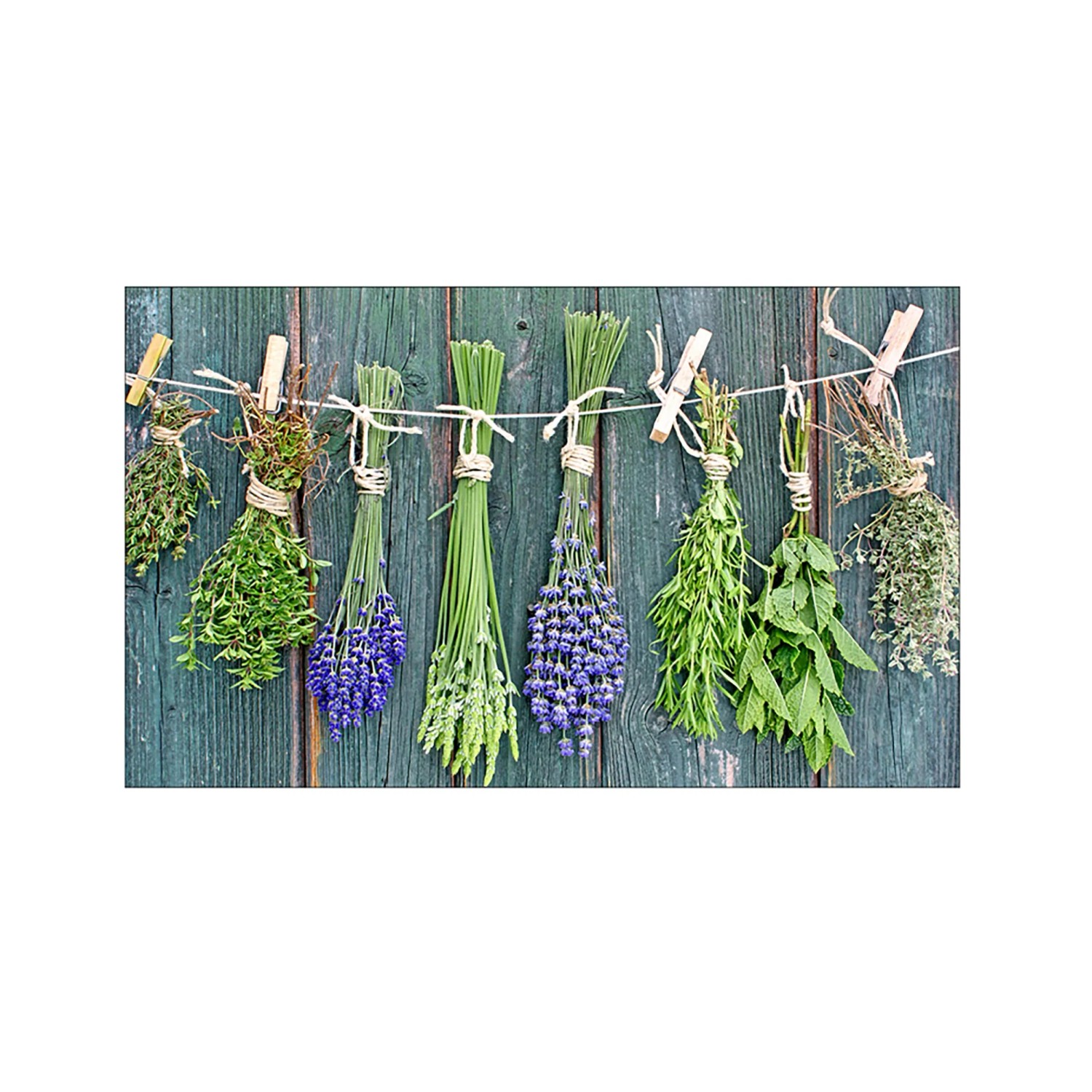 MySpotti Küchenrückwand Profix Cucina Kräuter Provence 100 x 60 cm Grün